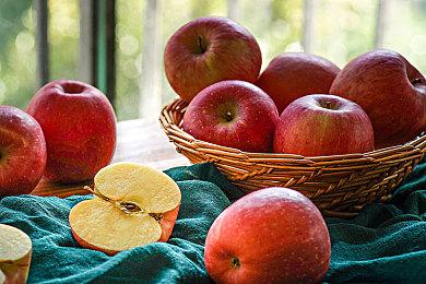 卡普空警告：在《怪物猎人：荒野》中作弊可能被封号